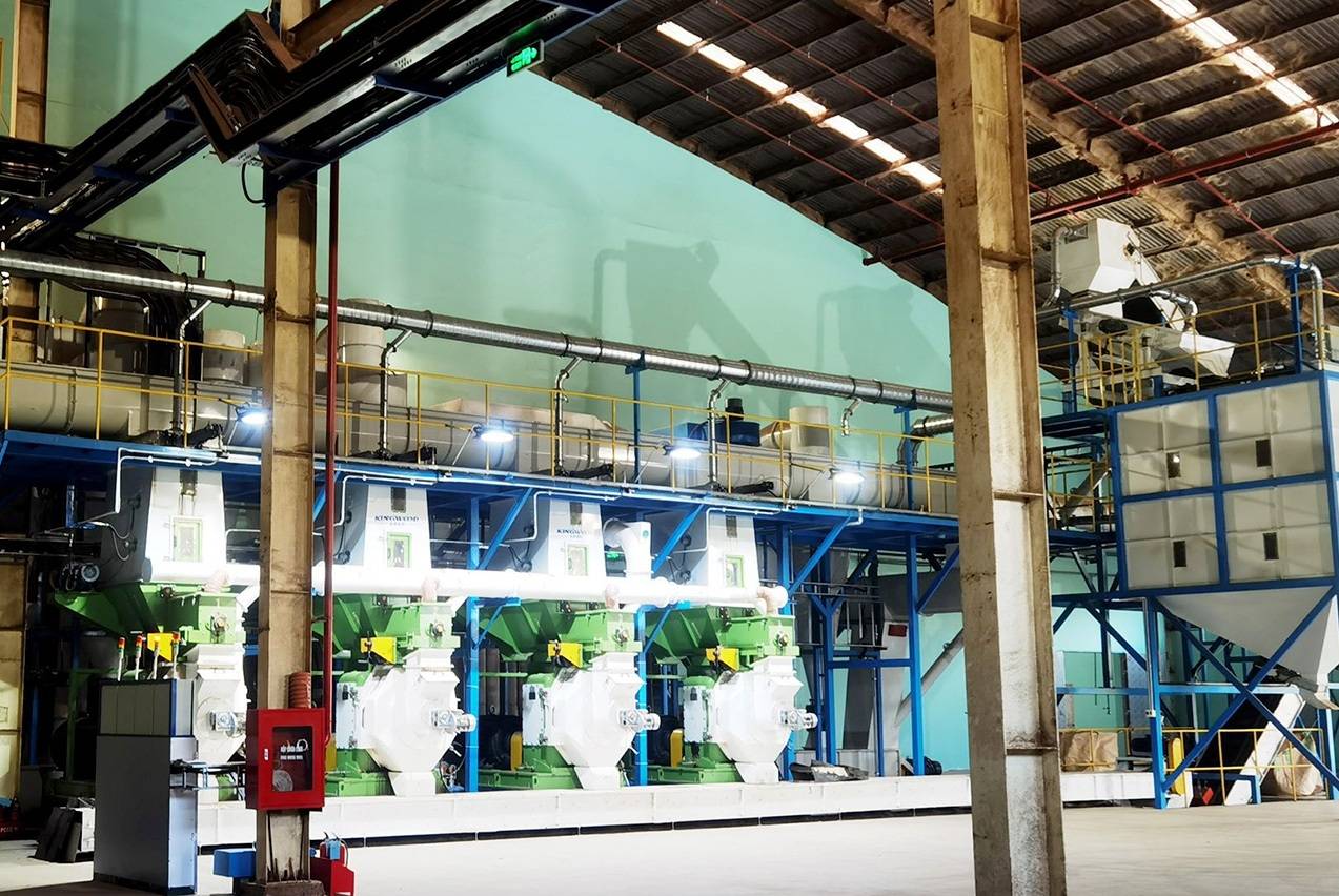 Vietnam Wood Pellet Line 12 t/h: 23-Month Payback Case Study