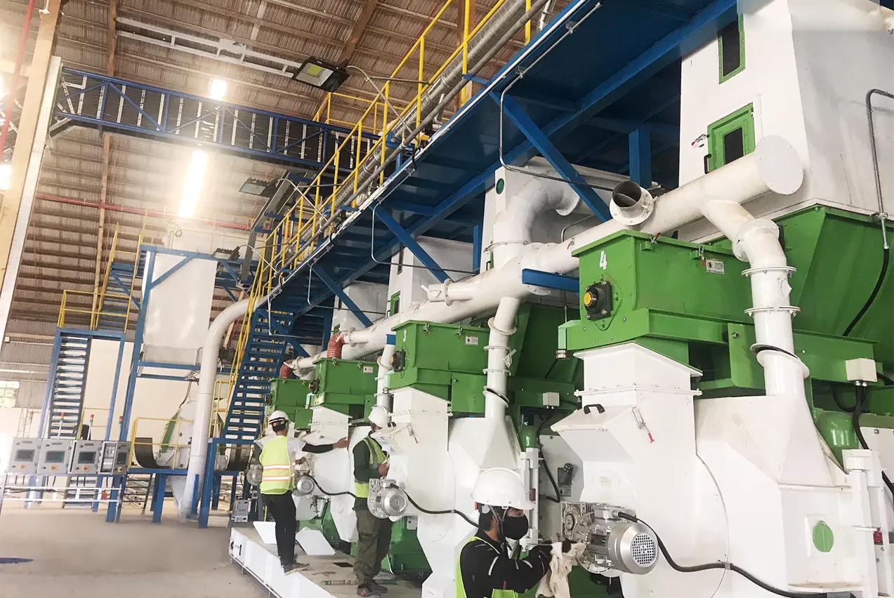 Biomass Pellet Industry News & Insights