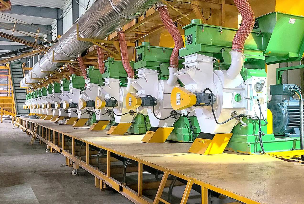 30 TPH Wood Pellet Mill in Chongqing, China — 2021